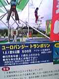 ユーロバンジー(飛んでるコは実物)
