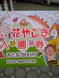 たけぇよ。