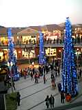 ブルーツリー、12/26まで