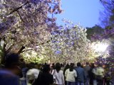 20060418_3