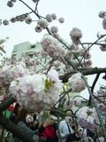 20060418_4