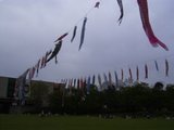 R0012805