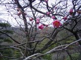 R0014438
