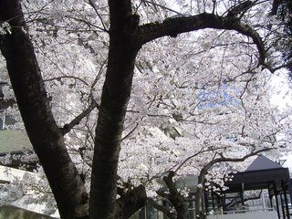 R0014648