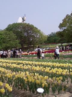 image-0001